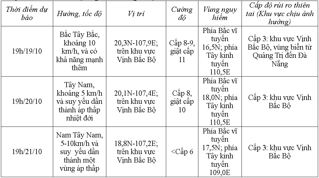 Bão số 5 đang giật cấp 10, di chuyển theo hướng Bắc Tây Bắc - Ảnh 1.