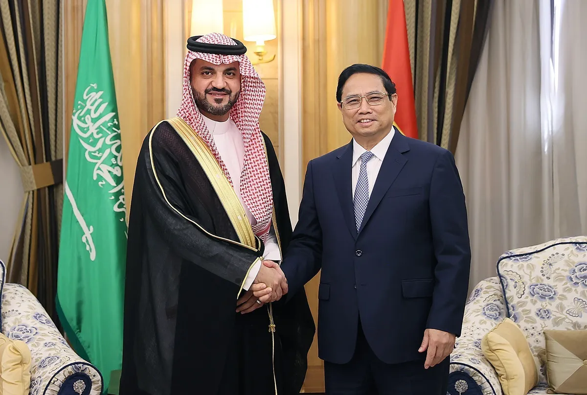 Thủ tướng Phạm Minh Chính tiếp lãnh đạo các tập đoàn, quỹ đầu tư lớn của Saudi Arabia - Ảnh 2.