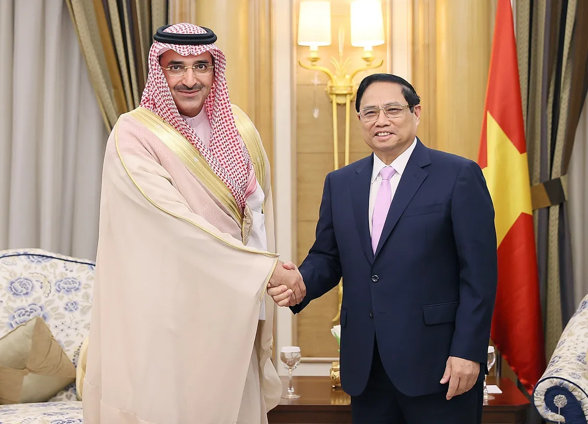 Thủ tướng Phạm Minh Chính tiếp lãnh đạo các tập đoàn, quỹ đầu tư lớn của Saudi Arabia - Ảnh 3.