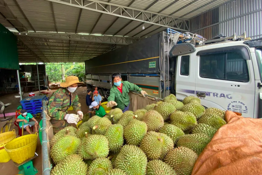 Xuất khẩu nông sản sang Trung Quốc lập kỷ lục - Ảnh 1.