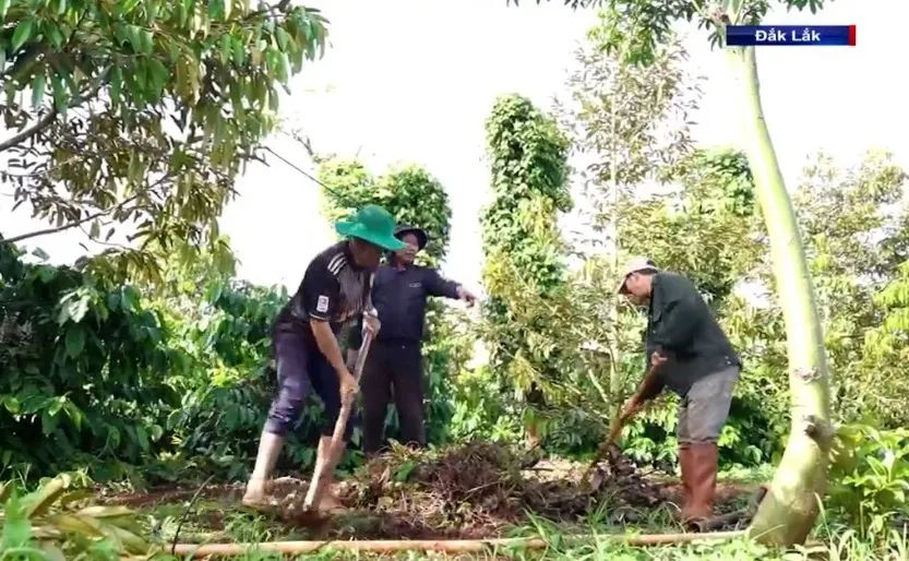 Già làng - người có uy tín đoàn kết buôn làng - Ảnh 2.