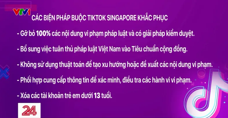 Việt Nam yêu cầu TikTok gỡ bỏ 100% nội dung vi phạm, xóa tài khoản dưới 13 tuổi - Ảnh 1.