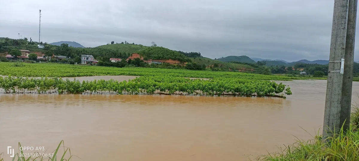 3 người thiệt mạng do sạt lở đất tại Yên Bái - Ảnh 2.