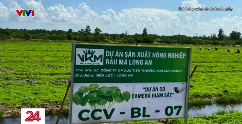 Khốn đốn vì những khoản đầu tư có nguy cơ mất trắng - Ảnh 1.