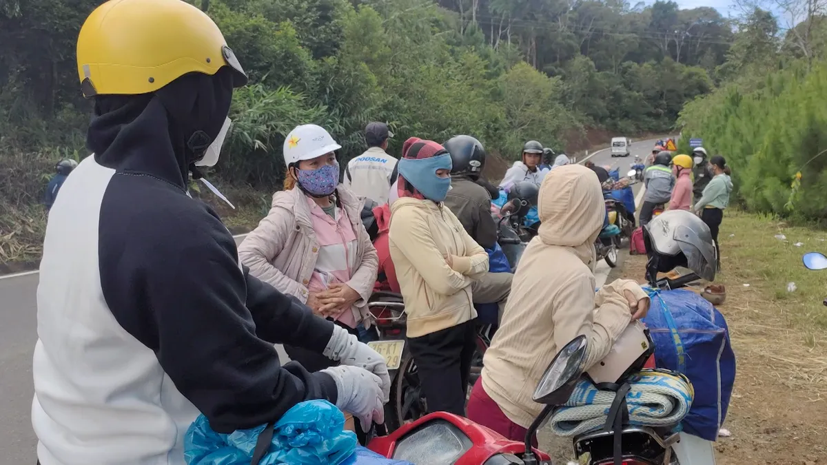 Tây Nguyên hút lao động mùa cà phê - Ảnh 3.