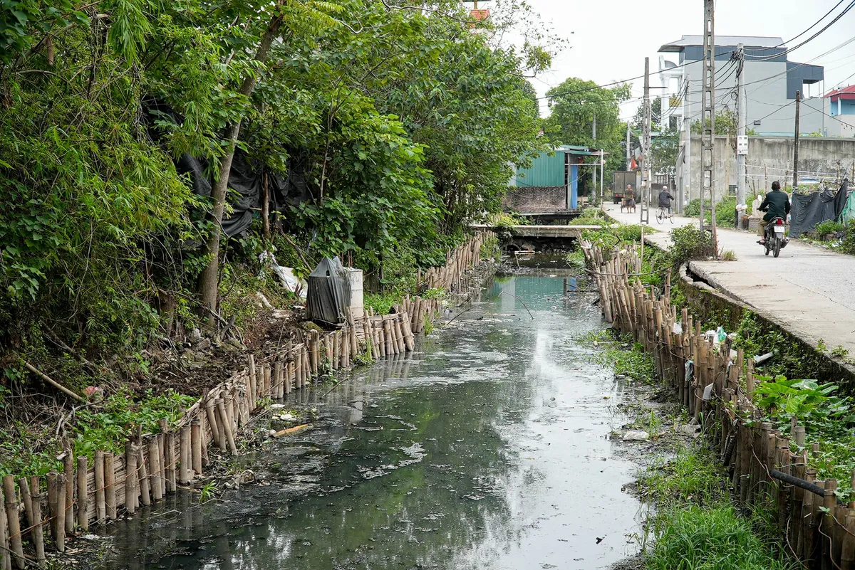 Môi trường sống ô nhiễm ở một xã thuộc Hà Nội có hơn 300 ca mắc sốt xuất huyết từ đầu năm 2023 - Ảnh 2.