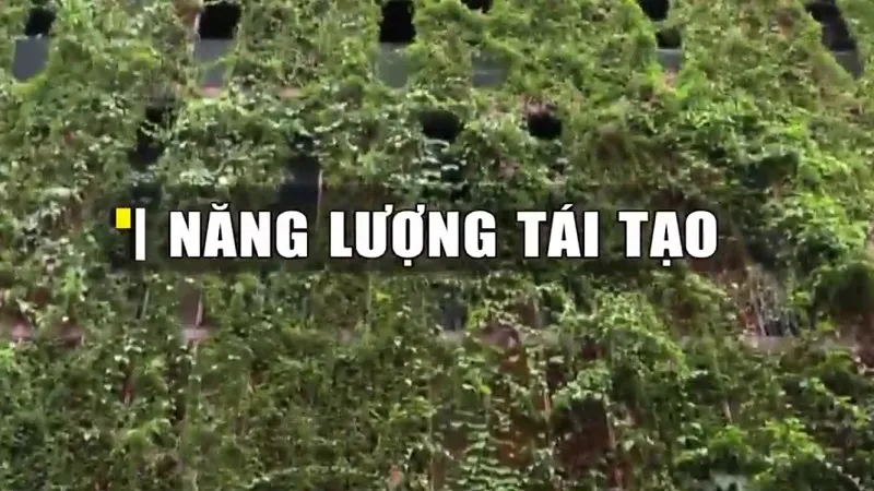 Singapore đẩy mạnh xây dựng Kế hoạch Xanh 2030 - Ảnh 3.