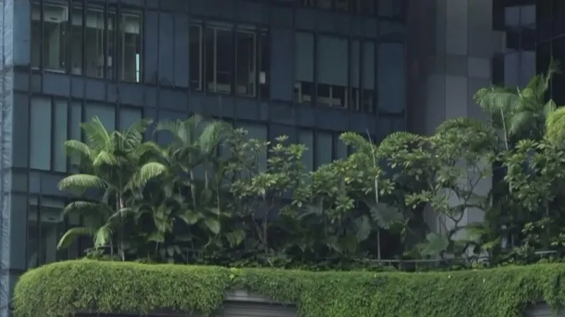 Singapore đẩy mạnh xây dựng Kế hoạch Xanh 2030 - Ảnh 4.