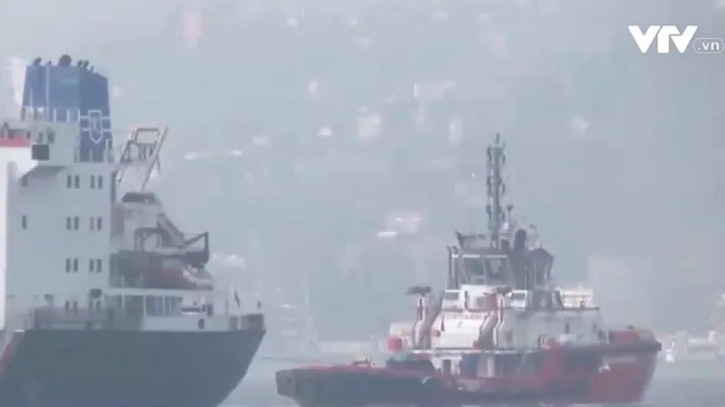 Ukraine đạt thỏa thuận bảo hiểm t&agrave;u chở n&ocirc;ng sản - Ảnh 1.