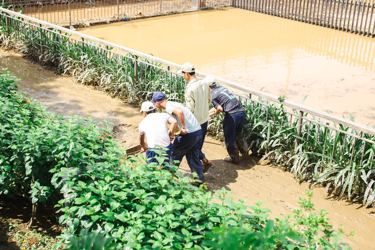 Hồi sinh cây cầu bạc tỷ xứ Huế sau cơn lũ lịch sử - Ảnh 6. Hồi sinh cây cầu bạc tỷ xứ Huế sau cơn lũ lịch sử - Ảnh 6.