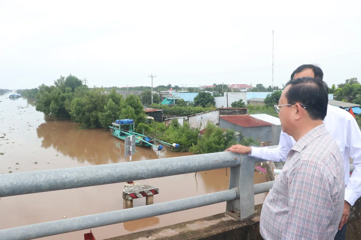 Cấp bách chống sạt lở, triều cường tại Bạc Liêu - Ảnh 1.