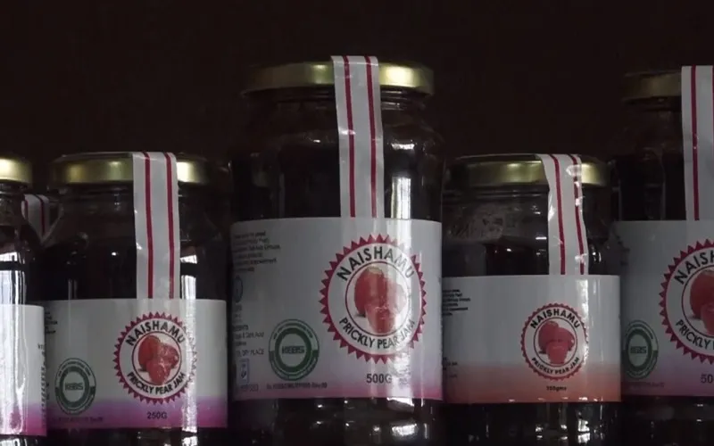 Biến xương rồng gai th&agrave;nh thực phẩm - Ảnh 1.