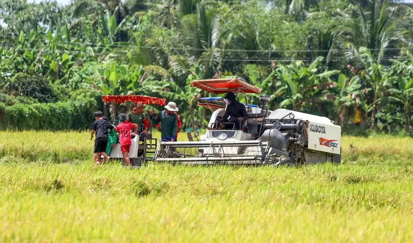 Giá tăng cao, gạo Việt khẳng định chỗ đứng trên thế giới - Ảnh 1.