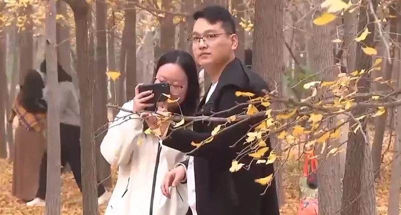 Chi&ecirc;m ngưỡng l&aacute; v&agrave;ng, l&aacute; đỏ ở Bắc Kinh (Trung Quốc) - Ảnh 1.