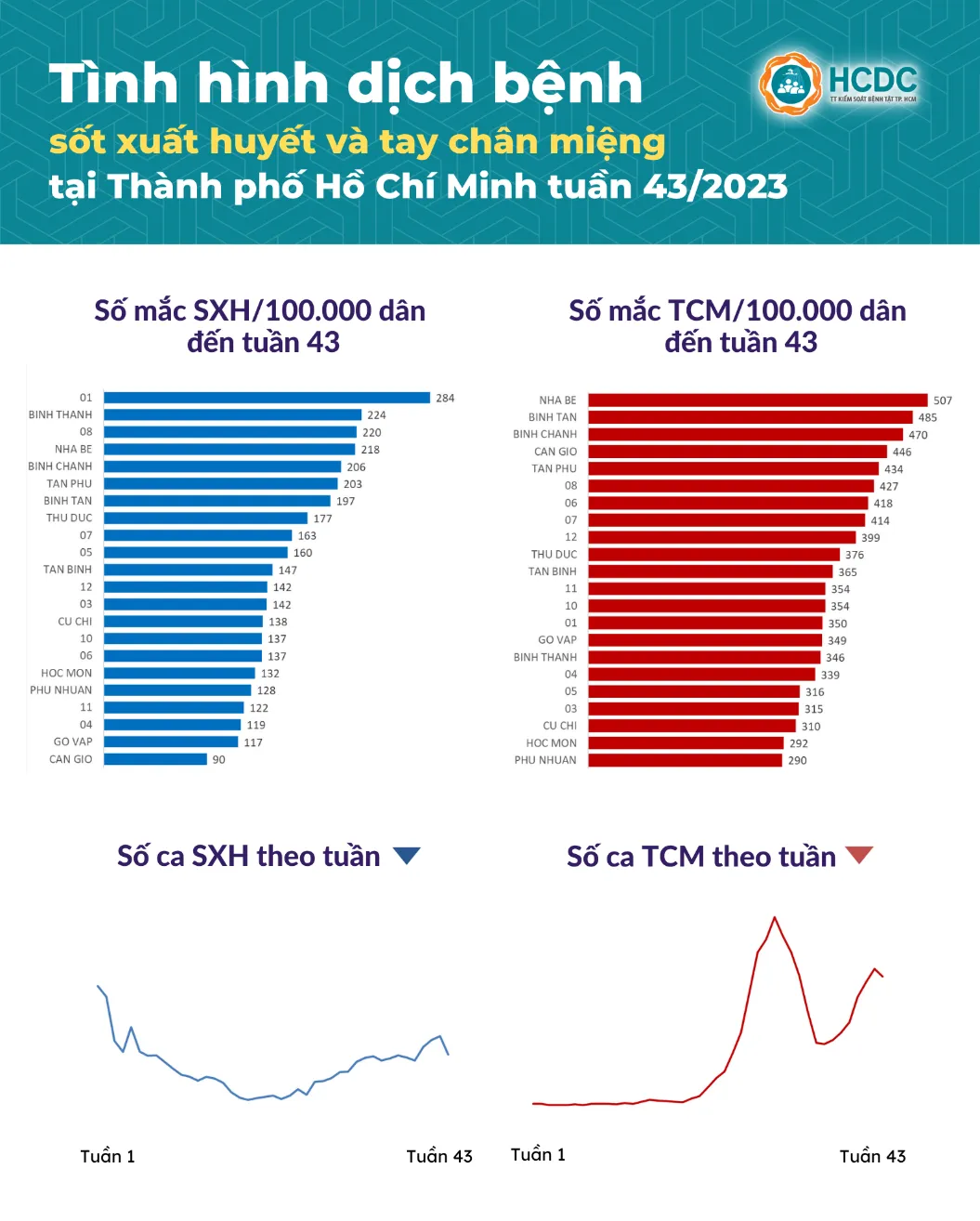 Ca mắc tay chân miệng tiếp tục tăng tại TP. Hồ Chí Minh - Ảnh 1. Ca mắc tay chân miệng tiếp tục tăng tại TP. Hồ Chí Minh - Ảnh 1.