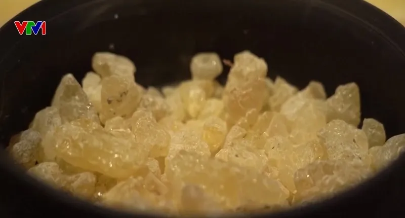 B&iacute; ẩn m&ugrave;i hương của những x&aacute;c ướp - Ảnh 2.