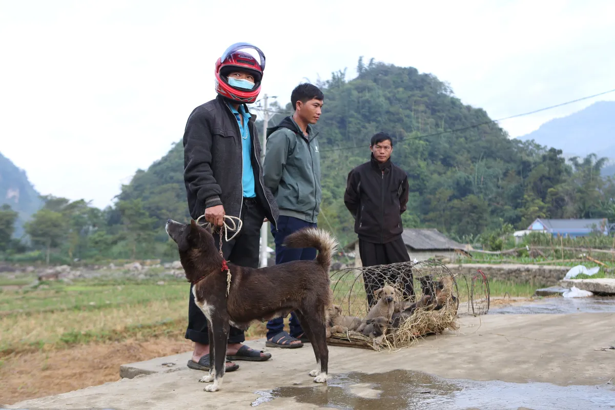 Muôn sắc màu tại chợ phiên San Thàng Lai Châu - Ảnh 6.