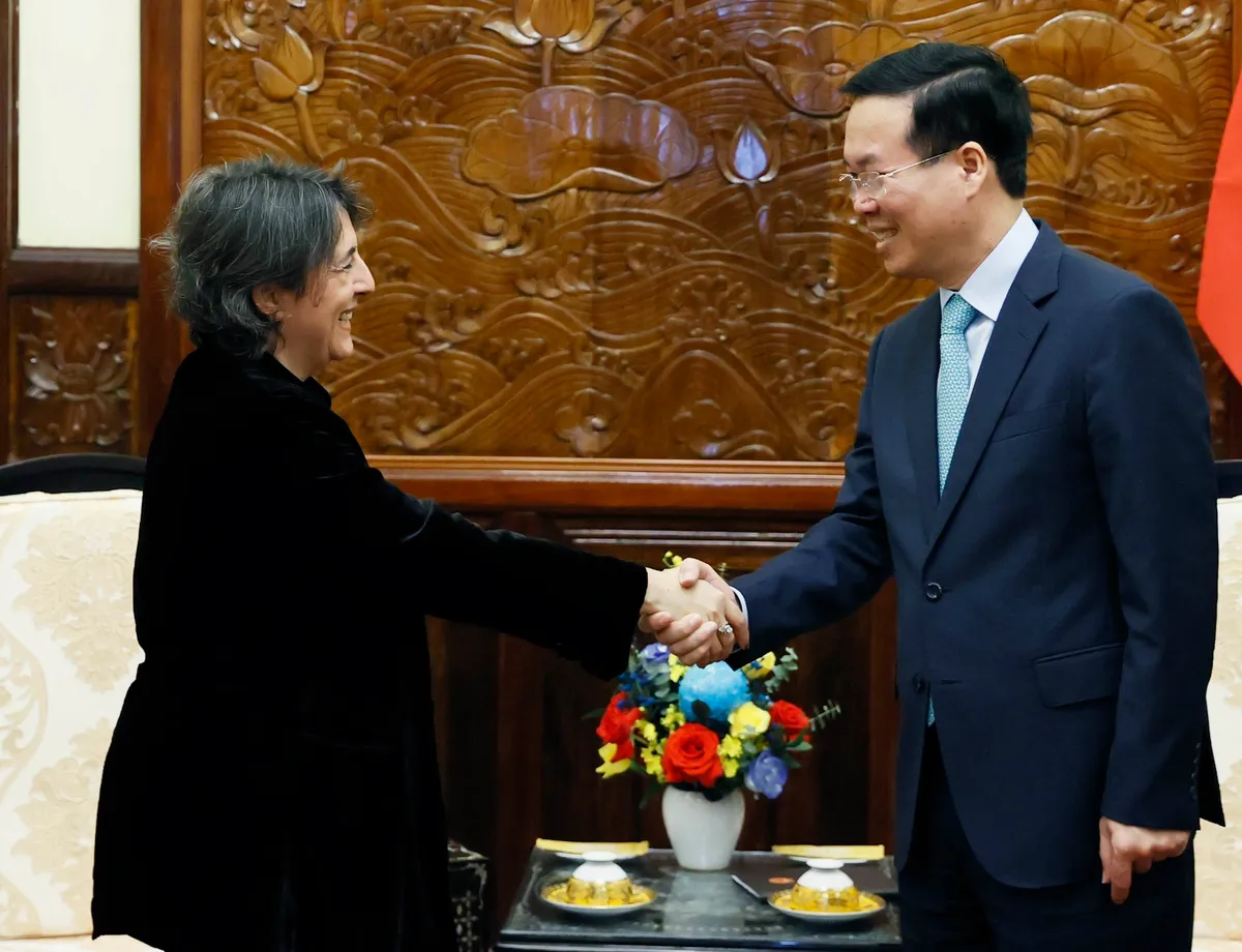 Chủ tịch nước V&otilde; Văn Thưởng tiếp Đại sứ T&acirc;y Ban Nha - Ảnh 1.