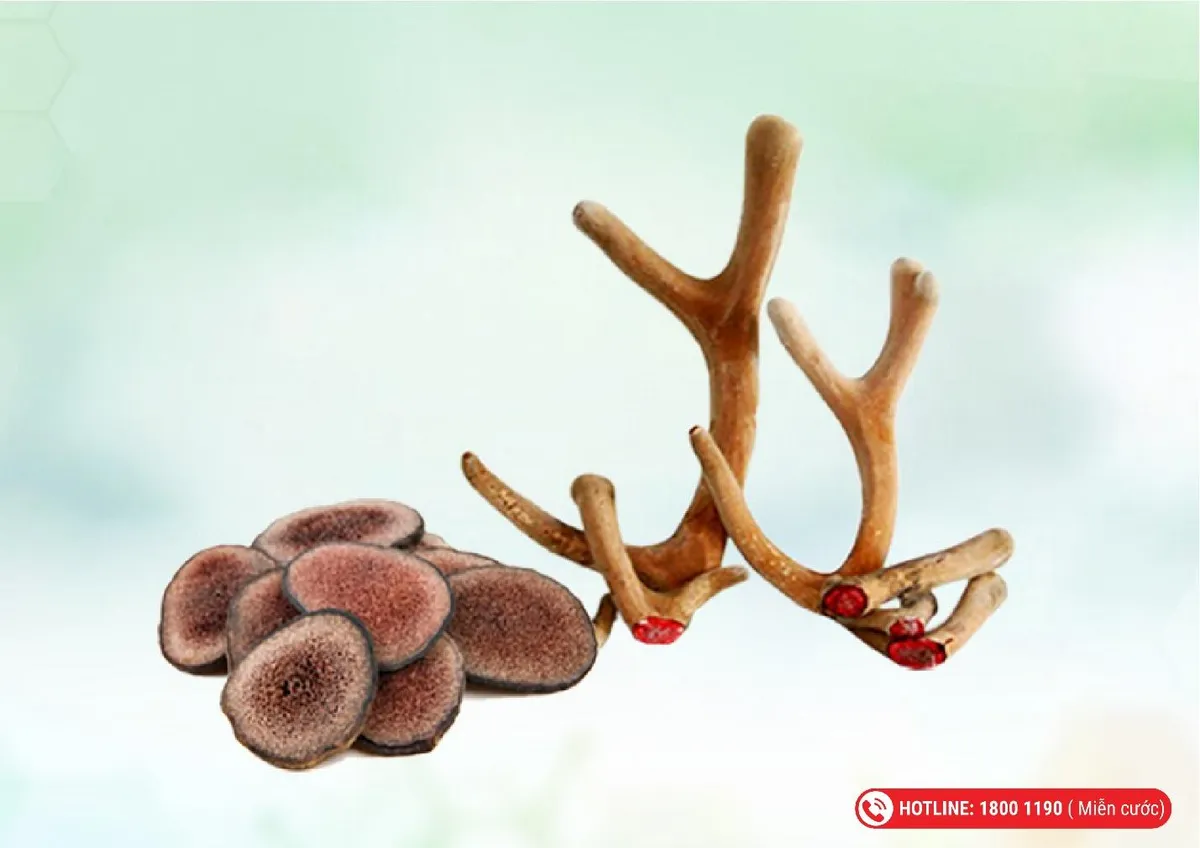 Top 5 dược liệu giúp cho phụ nữ tiền, mãn kinh - Ảnh 3.