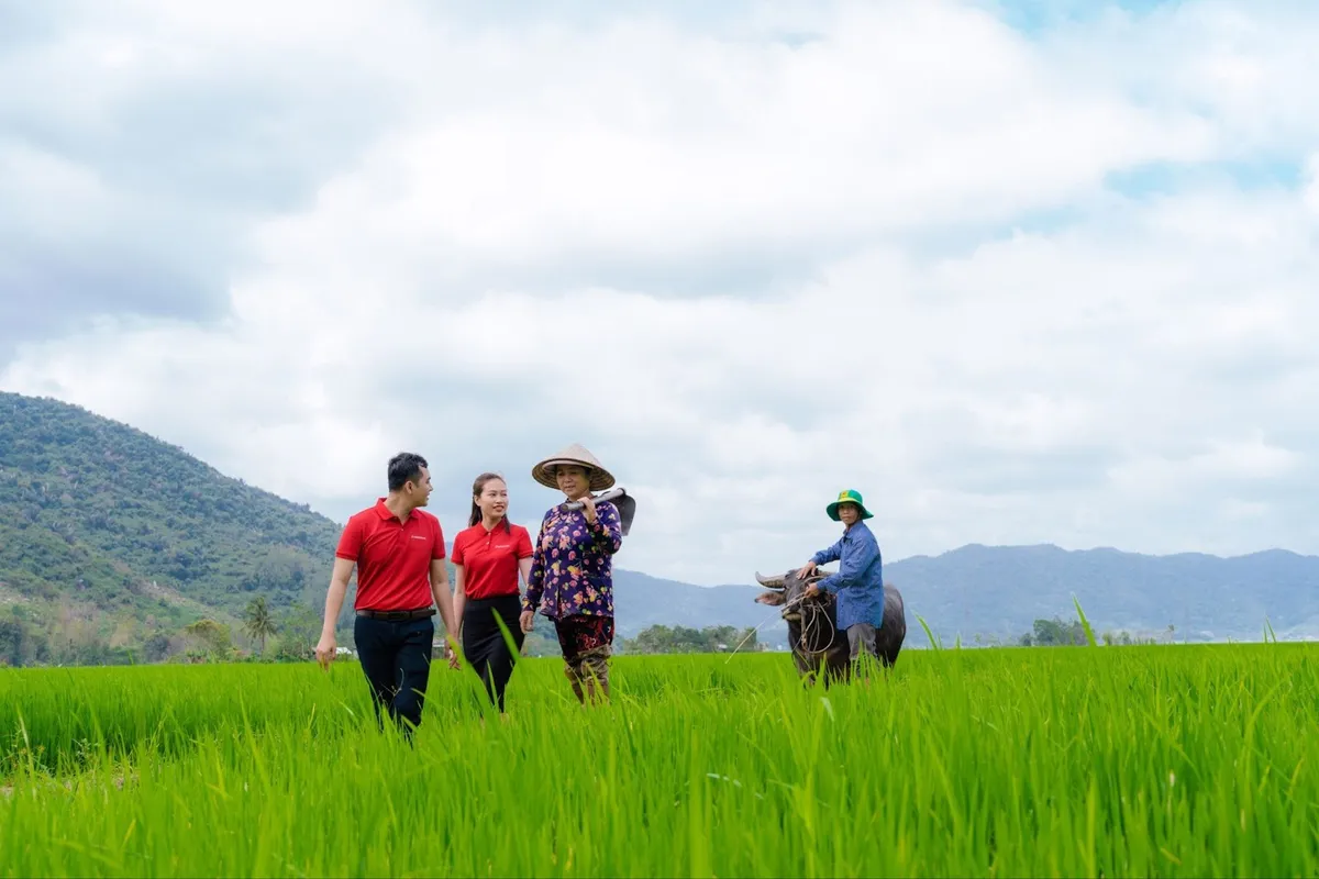 Agribank cung ứng sản phẩm dịch vụ thực hiện phát triển bền vững 1 triệu ha chuyên canh lúa chất lượng cao - Ảnh 2.