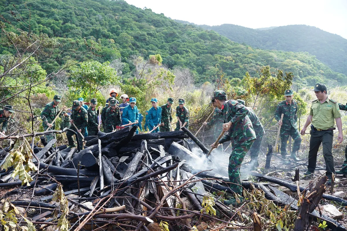 Côn Đảo: Huy động hàng trăm người diễn tập phòng chống cháy rừng - Ảnh 1.