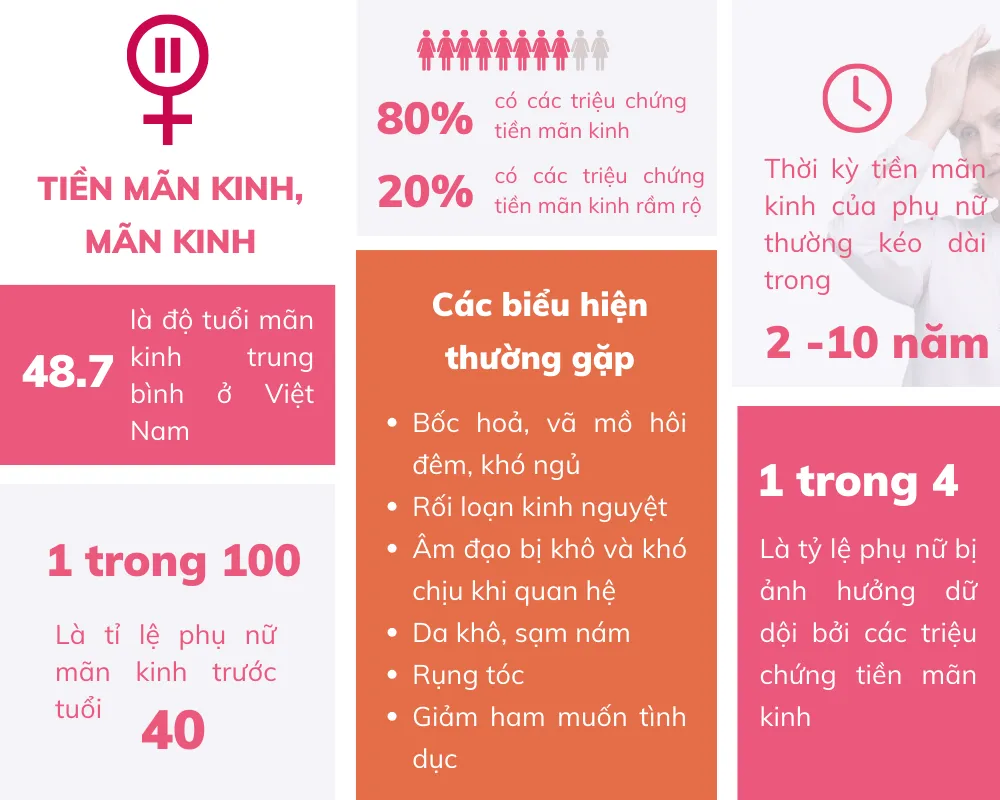 Giải pháp cải thiện nội tiết từ gốc cho phụ nữ tiền mãn kinh - Ảnh 1. Giải pháp cải thiện nội tiết từ gốc cho phụ nữ tiền mãn kinh - Ảnh 1.