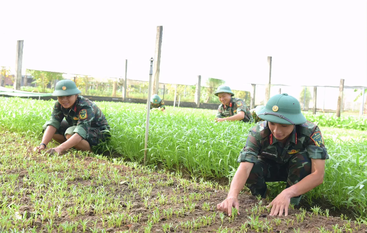 Chuẩn bị chu đáo cho bộ đội đón Tết - Ảnh 2.