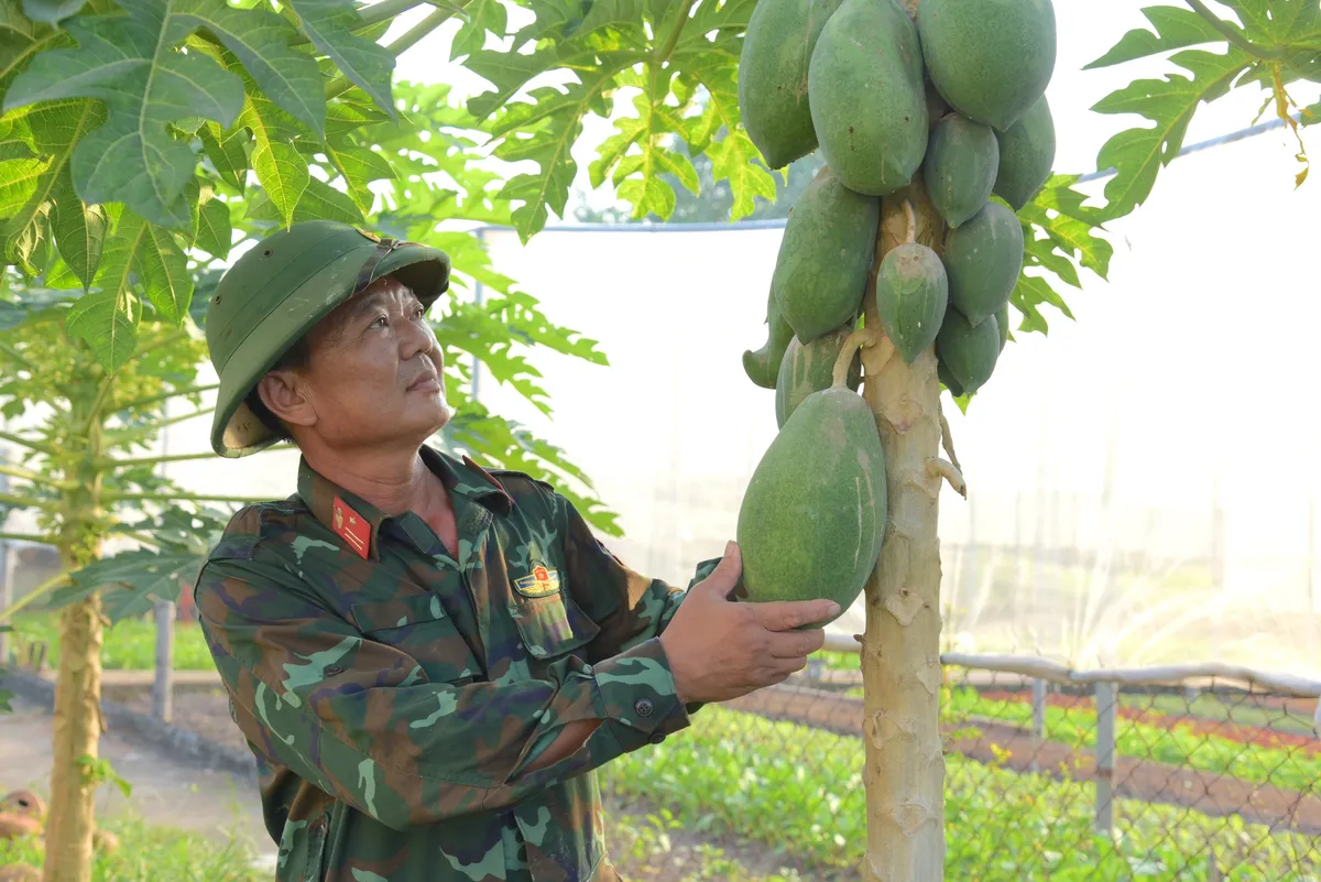 Chuẩn bị chu đáo cho bộ đội đón Tết - Ảnh 1.