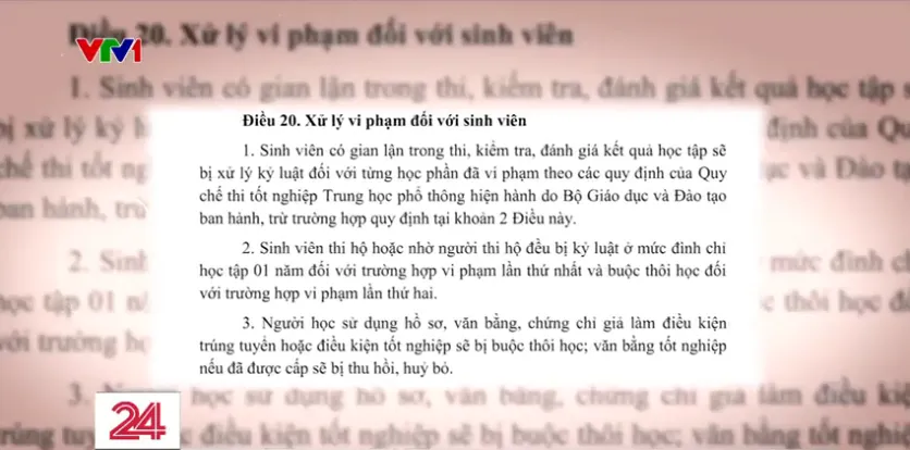 Học chưa xong đã toàn... làm hộ - Ảnh 12.