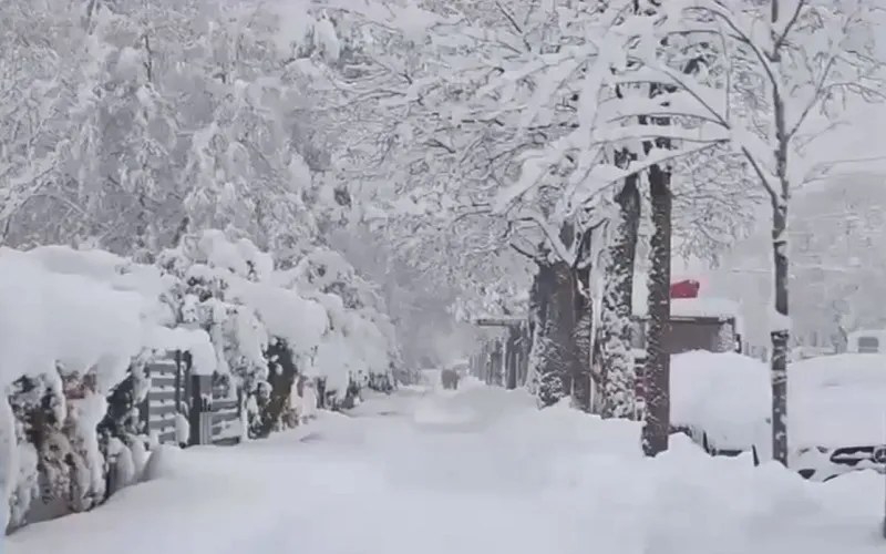 Thời tiết ng&agrave;y c&agrave;ng biến đổi kh&oacute; lường, năm 2024 c&oacute; thể n&oacute;ng hơn 2023 - Ảnh 1.