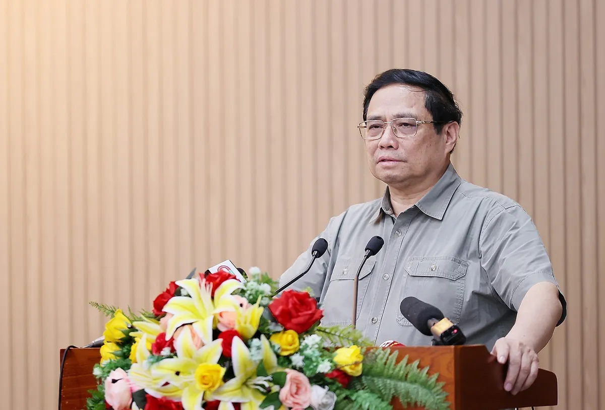 Ph&aacute;t triển đột ph&aacute; C&agrave; Mau từ năng lượng, du lịch, t&ocirc;m - Ảnh 1.