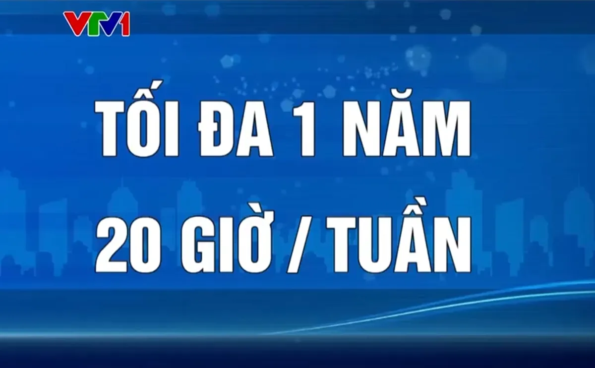 Những điểm đáng lưu ý trong luật nhập cư mới của Đức - Ảnh 2.