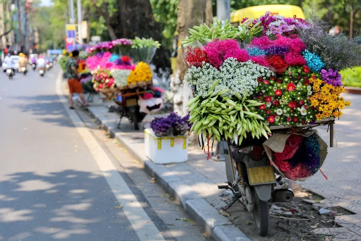 Hoa loa kèn - Điểm nhấn tuyệt đẹp cho bức tranh giao mùa của Hà Nội - Ảnh 1.