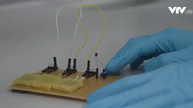 Pin c&oacute; thể ăn được hứa hẹn ứng dụng trong y tế - Ảnh 1.