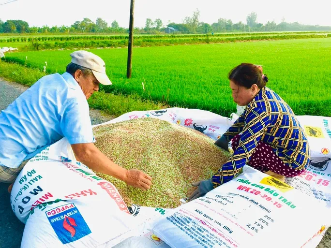 Giá phân bón giảm: Nông dân phấn khởi, doanh nghiệp gặp khó - Ảnh 1.