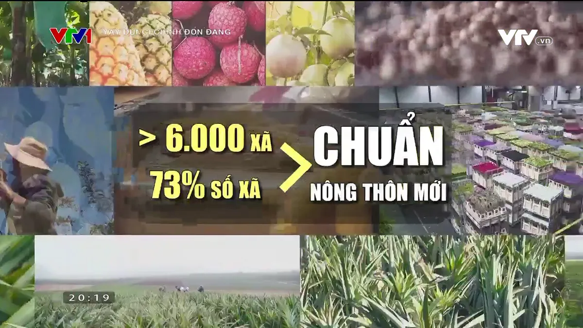 Dân chủ - chìa khóa đoàn kết toàn dân - Ảnh 3.