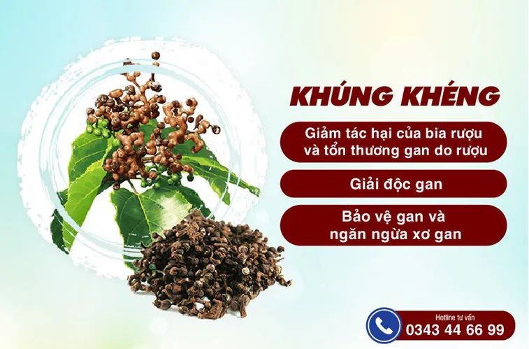 Top 4 dược liệu quý giải độc gan, phục hồi chức năng gan tốt nhất - Ảnh 2. Top 4 dược liệu quý giải độc gan, phục hồi chức năng gan tốt nhất - Ảnh 2.