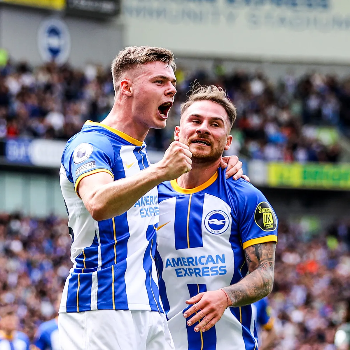 Brighton v&agrave; m&ugrave;a giải nhiều dấu ấn   - Ảnh 1.