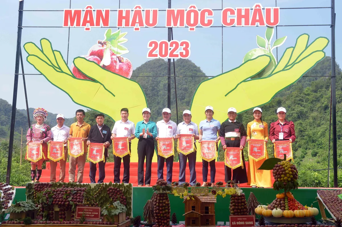 Sôi động ngày hội hái quả mận hậu 2023 - Ảnh 7.