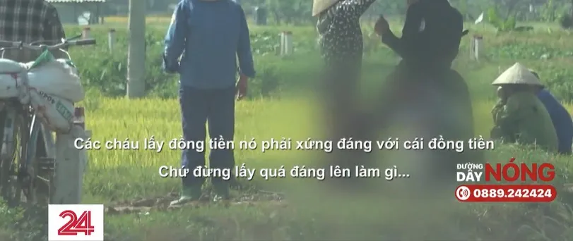 “Bảo kê” dịch vụ gặt lúa, ép giá nông dân - Ảnh 2.