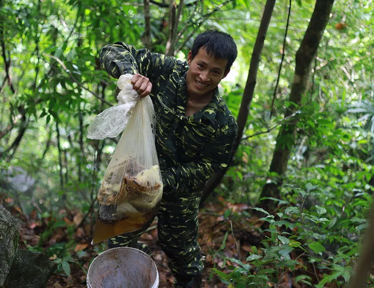 Ngược ngàn rong ruổi săn mật ong rừng - Ảnh 10.