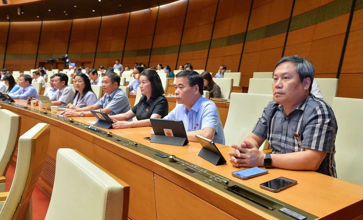 Đại biểu Quốc hội lo ngại sở hữu chéo, thao túng lợi ích nhóm trong lĩnh vực ngân hàng - Ảnh 1.