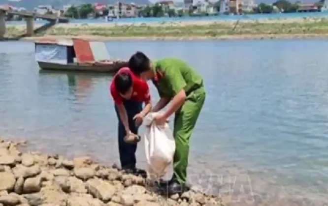 Nhặt được h&agrave;ng chục quả đạn ph&aacute;o ở s&ocirc;ng Đ&agrave; - Ảnh 1.