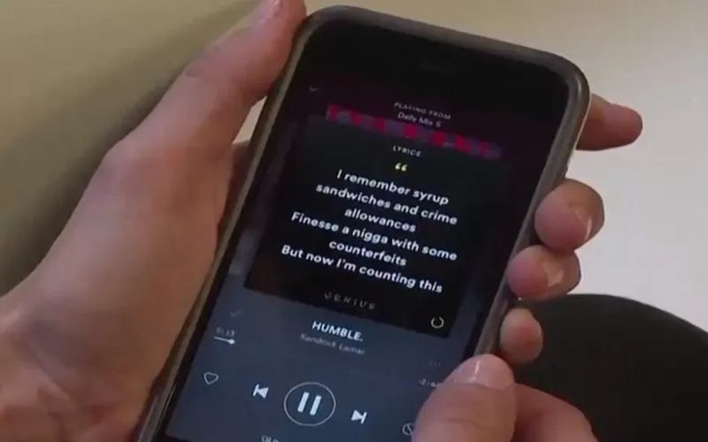 Spotify bị phạt 5 triệu euro v&igrave; vi phạm quy tắc dữ liệu của EU - Ảnh 1.