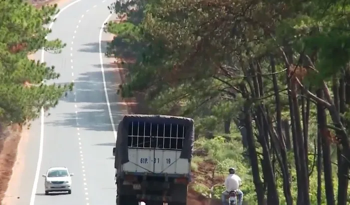 Phát triển hạ tầng giao thông Tây Nguyên - Ảnh 3.