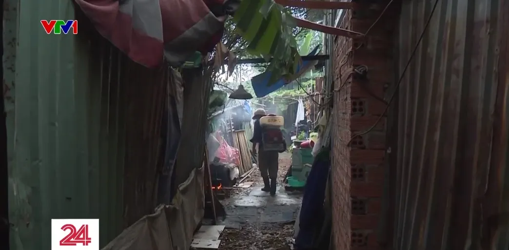 TP Hồ Chí Minh: Giám sát phát hiện nhiều điểm nguy cơ sốt xuất huyết - Ảnh 1. TP Hồ Chí Minh: Giám sát phát hiện nhiều điểm nguy cơ sốt xuất huyết - Ảnh 1.