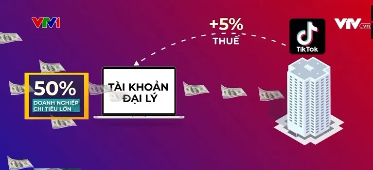 Sẽ rà soát nghĩa vụ kê khai thuế các đại lý của TikTok - Ảnh 1.