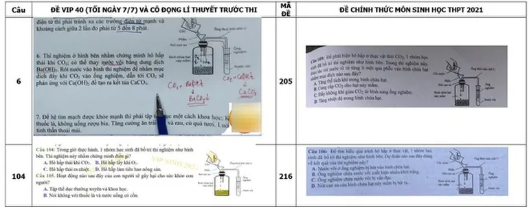 Vụ lộ đề thi môn Sinh tốt nghiệp THPT 2021: Lỗ hổng ở đâu? - Ảnh 1.