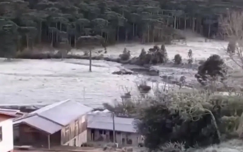 Hàng nghìn gia súc chết do giá rét tại Brazil - Ảnh 1.