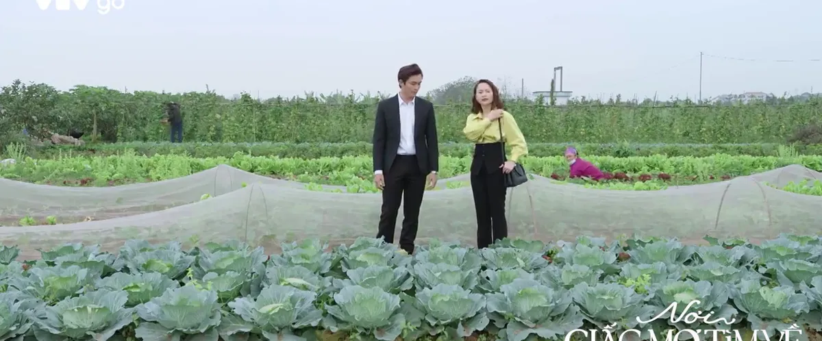 Nơi giấc mơ t&igrave;m về - Tập 18: Gia An thừa nhận cần Phương - Ảnh 1.